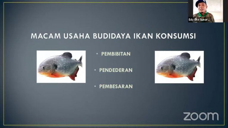 Cara Budidaya Unggas dan Ikan Konsumsi di Masa Pandemi